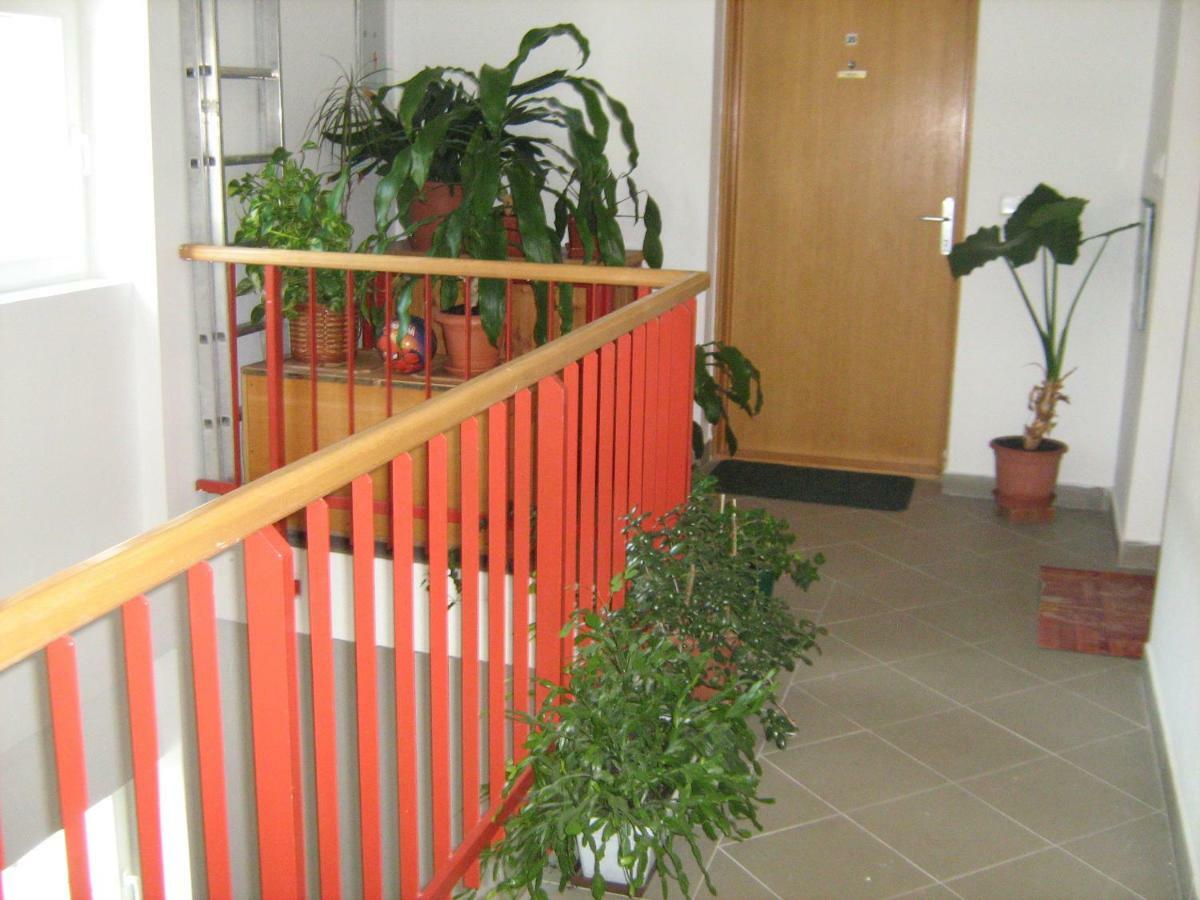 Apartment Diklic セニ エクステリア 写真